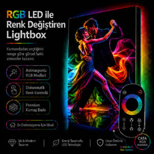 RGB LED Renk Değiştiren Dans Eden Çift Lightbox Tablo